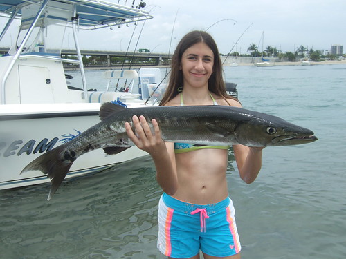 Rachel's Big Barracuda