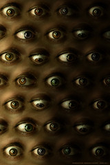 Muchos Ojos / Eyes