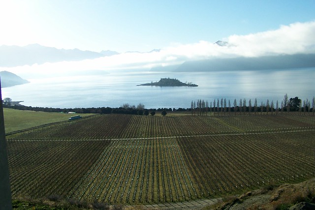 Rippon Winery, New Zealand