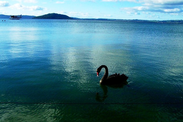 Lake Rotorua New Zealand