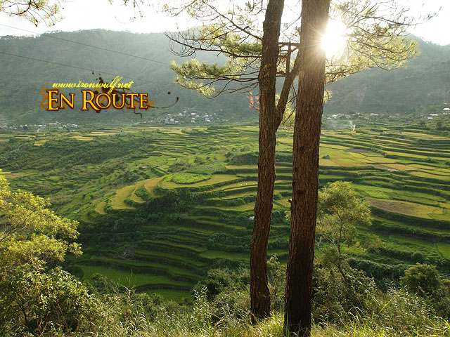 Afternoon light over Kapay-aw Rice Terraces