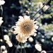 img045