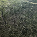 Kakadu aerial • <a style="font-size:0.8em;" href="https://www.flickr.com/photos/40181681@N02/5928186233/" target="_blank">View on Flickr</a>
