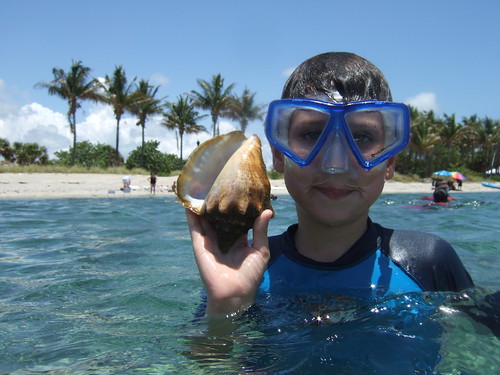 Jacob finds a milk conch