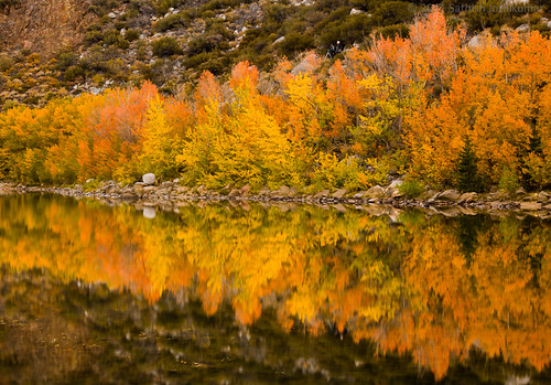flickr:5957262146