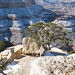Grand Canyon • <a style="font-size:0.8em;" href="http://www.flickr.com/photos/26088968@N02/5996364554/" target="_blank">View on Flickr</a>