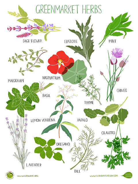 Greenmarket Herbs