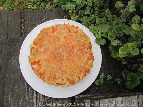 Apricot butter cake (2)