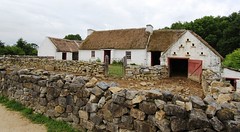 Irish farm IMG_2530