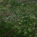 Kakadu aerial • <a style="font-size:0.8em;" href="https://www.flickr.com/photos/40181681@N02/5928745776/" target="_blank">View on Flickr</a>