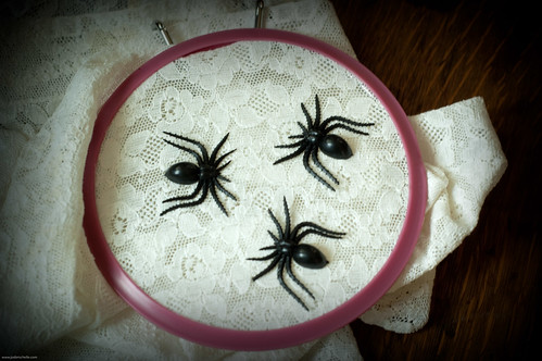 SPIDERS!