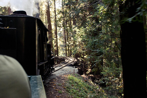 Train Ride to the trees