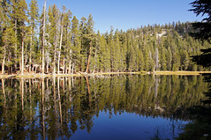2011-10-15 10-23 Sierra Nevada 319 Yosemite National Park, Lukens Lake Trail