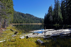 2011-10-15 10-23 Sierra Nevada 321 Yosemite National Park, Lukens Lake Trail
