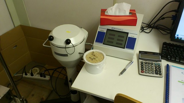 Rice for testing