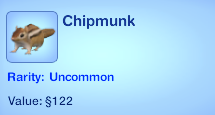 Chipmunk