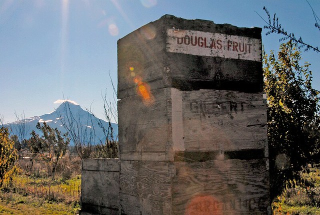 Fruit Crates and Mount Hood