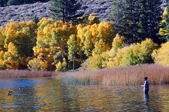 2011-10-15 10-23 Sierra Nevada 484 June Lake