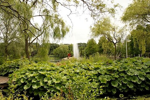 view of garden with in background fountain