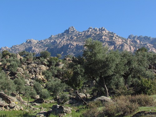 Hike to Yediler - Beşparmak Mountains