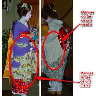cómo distinguir: longitud mangas kimono
