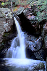 Enders Fall 1