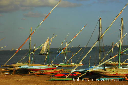 sail boats in the Nile delta