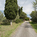 farmhouse_tuscany