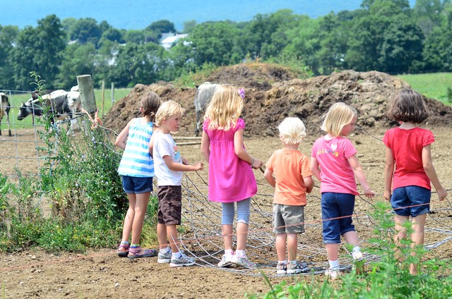 Kids love the farm