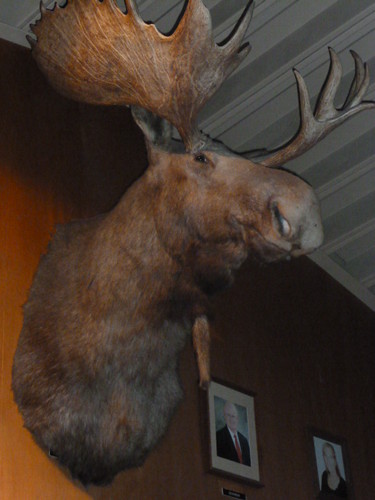 Moose Lodge Vallejo