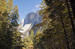 2011-10-15 10-23 Sierra Nevada 205 Yosemite National Park, Mirror Lake Trail