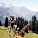 img065