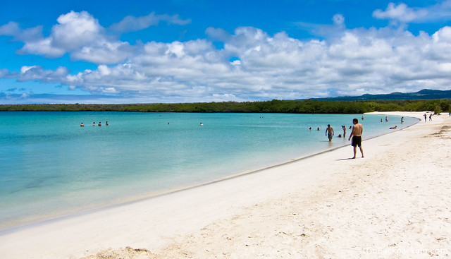 Beach in Tortuga Bay