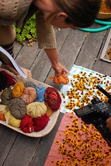 rebecca shows the flower where the yellow of the wool comes from