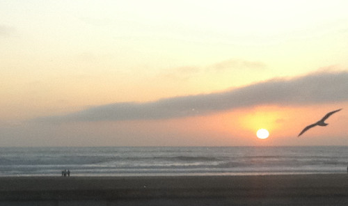 Ocean beach sunset. Been a while someone took me here for a date.