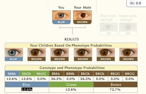 Baby Eye Color Odds! Just for fun! - Page 3 - BabyCenter