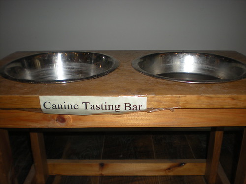 Canine tasting bar at Finger Lakes Distilling