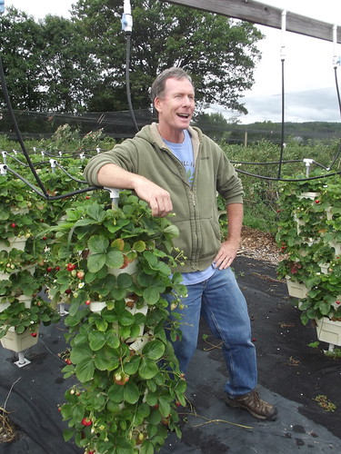 Glenn Cook Shows Off His Strawberries