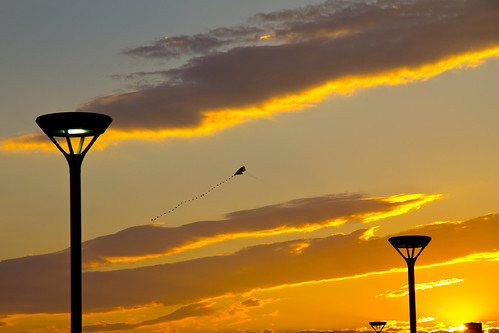 Kite at Sunset