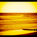 Liquid Gold - Cocoa Beach<br /><span style="font-size:0.8em;"><a href="http://www.ajhege.com" rel="nofollow">www.ajhege.com</a></span>