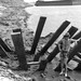Paddle wheeler wreck - 1971 (1)