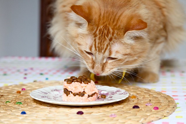 Details about   "Another Year.. Another Blaze of Glory!" AVANTI BIRTHDAY CARD Cat w Burned Cake 