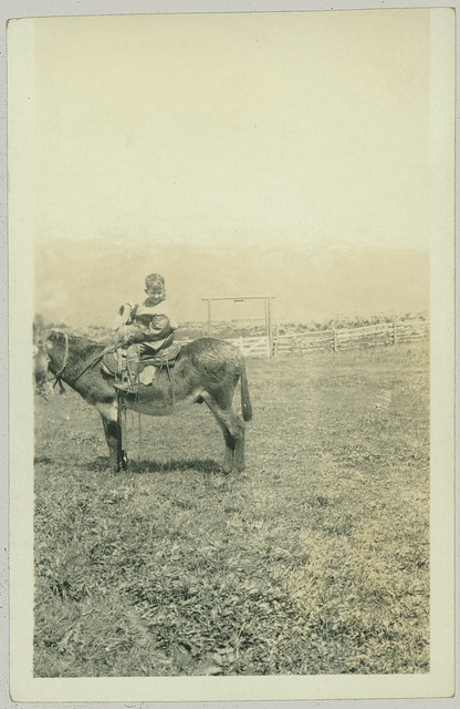 Boy on a horse.