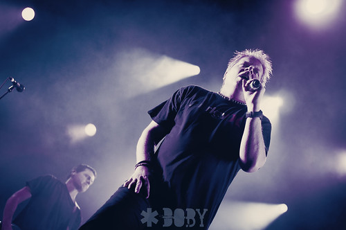 The Offspring (pour concert and co)