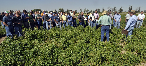 Bayer CropScience plot tour at Miller Research