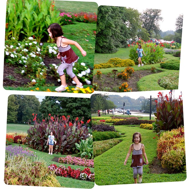 Floral Library
