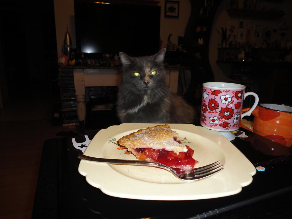 FUCK YOUR PIE