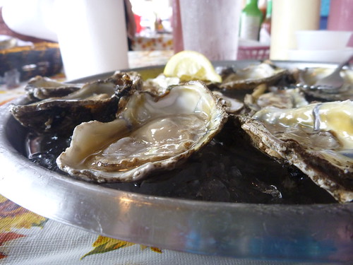 Apalachicola oysters