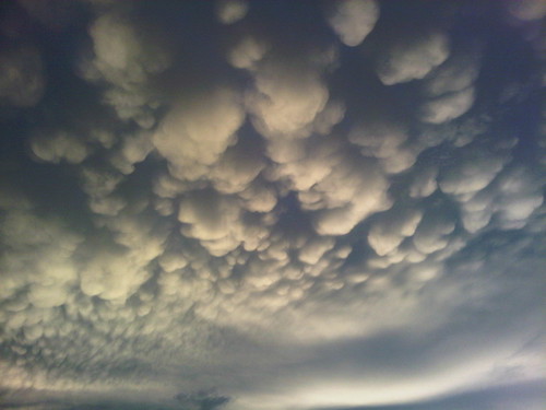 IMG00255-20110810-1938.jpg