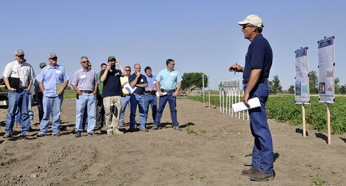 Bayer CropScience plot tour at Miller Research